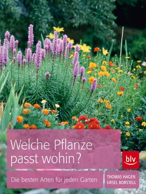 cover image of Welche Pflanze passt wohin?
